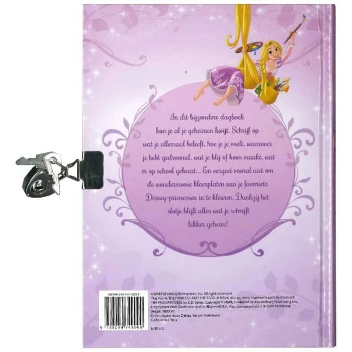 Disney prinses mijn geheime dagboek achterkant